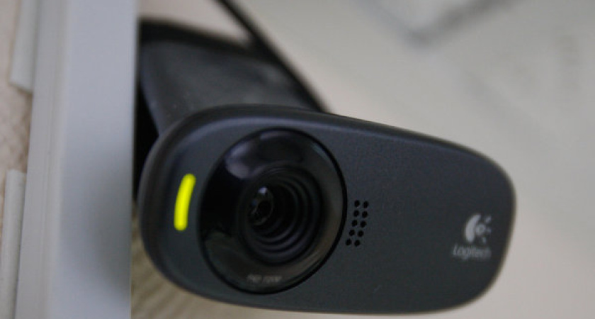 Воронежский облизибрком открыл «горячую линию»