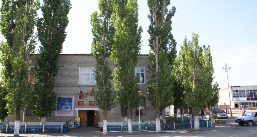 Хозяйка уничтоженных под Воронежем свиней  возобновила голодовку 