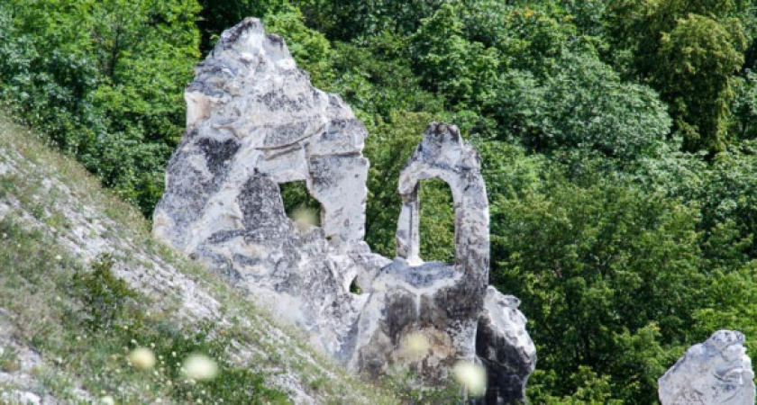 Воронежский заповедник попал в ТОП-5 самых необычных мест