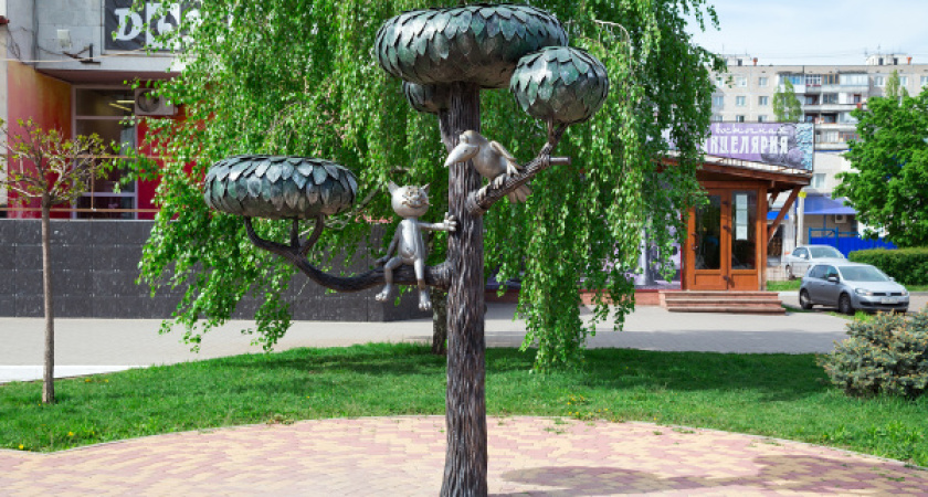 Воронежцы признались в собственном счастье