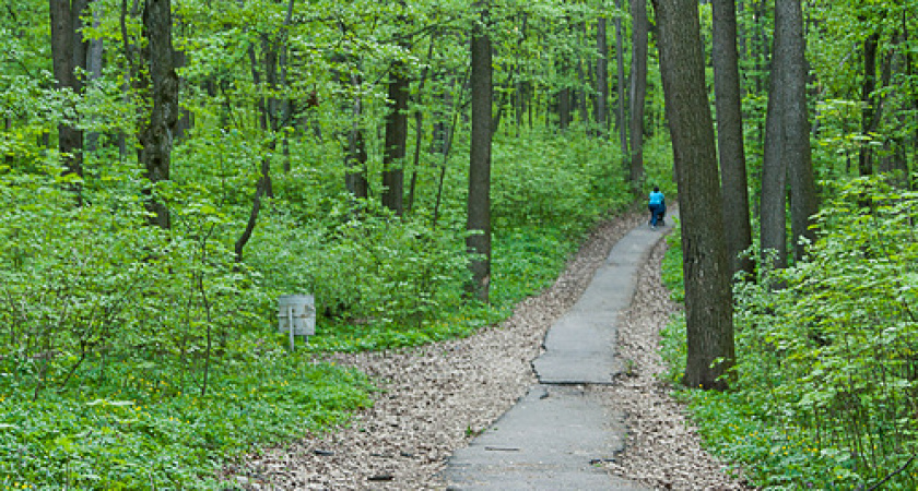 Воронежцев обещают показать по Первому каналу