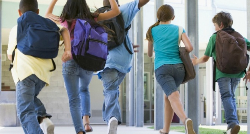 В Воронеже появилось Российское движение школьников 