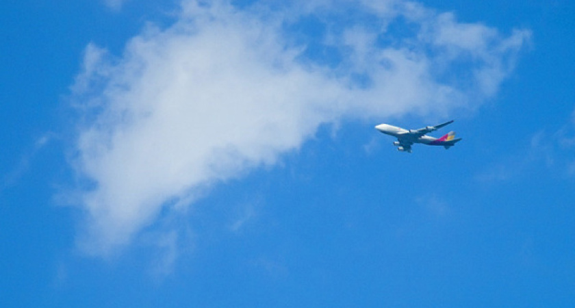 Воронежская прокуратура выясняет причины задержки авиарейса в Болгарию 