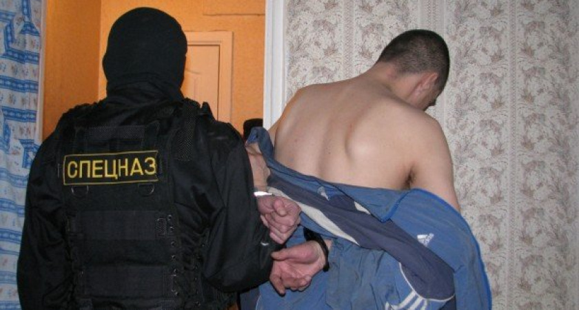 В Воронеже в канун выборов опять выловили сутенеров