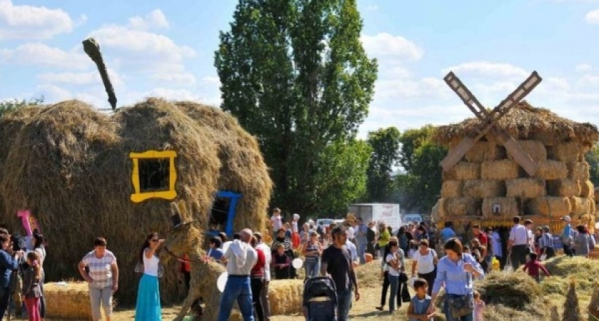 Выставка «Воронеж – город-сад» будет посвящена цветам, красоте и кино 