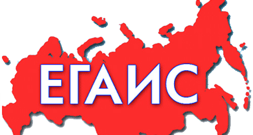 Воронежские предприниматели, надеявшиеся на отсрочку ЕГАИС, сильно просчитались 