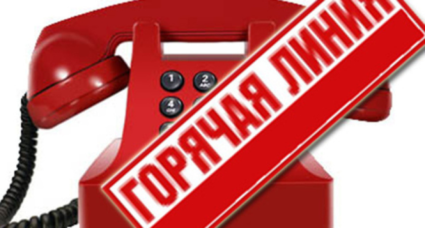 Воронежская полиция запустила «горячую линию» 