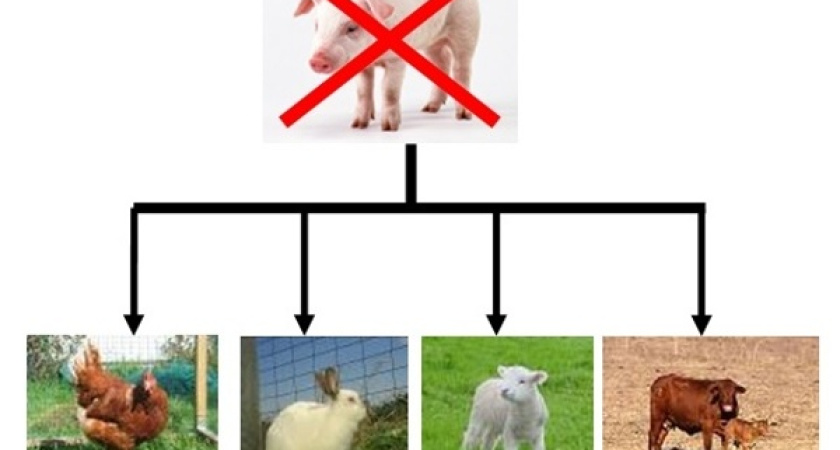 Воронежская область может стать первой территорией без частного свиноводства