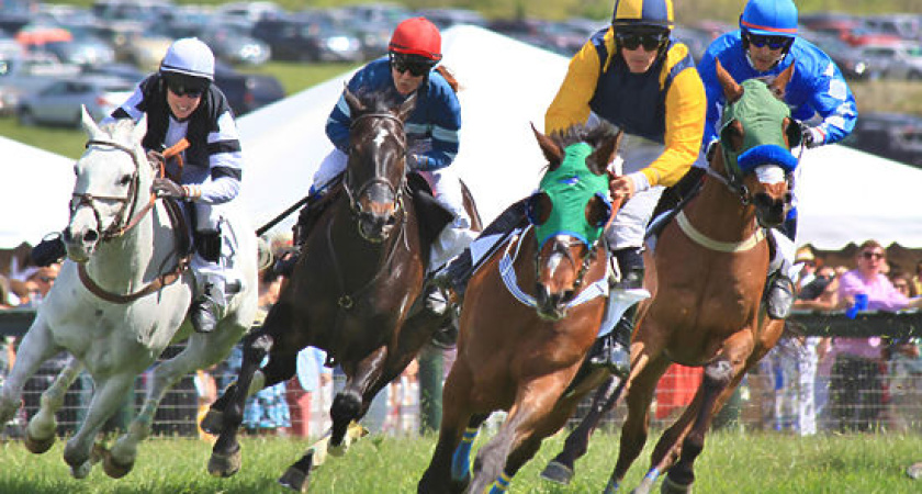 Воронежцы могут честно заработать на выборах с помощью тотализатора 