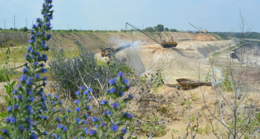 Работников ОАО «Павловск Неруд» пытались не допустить к избирательным урнам