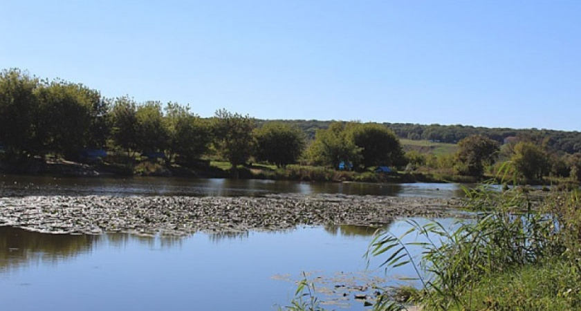 Попытка осушить воронежское озеро стоила 13 миллионов рублей 