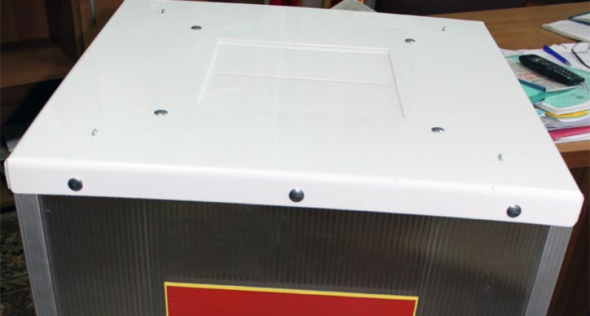 Воронежский омбудсмен рассказала о нарушении тайны голосования 