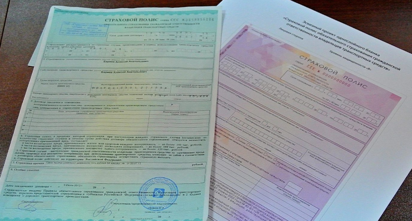 Воронежские любители страхового гламура  оценят новый полис ОСАГО