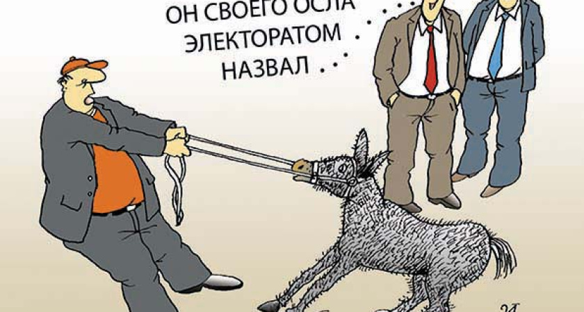 Избиратели привели воронежских политологов в недоумение