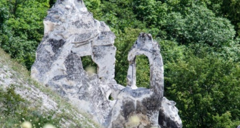 Воронежский заповедник победил в престижном конкурсе 