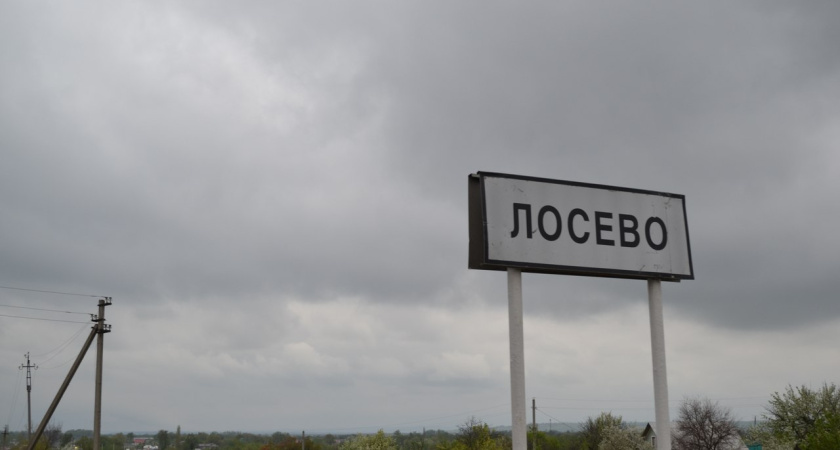 Новый платный участок трассы М-4 под Воронежем построят за 62,4 млрд рублей