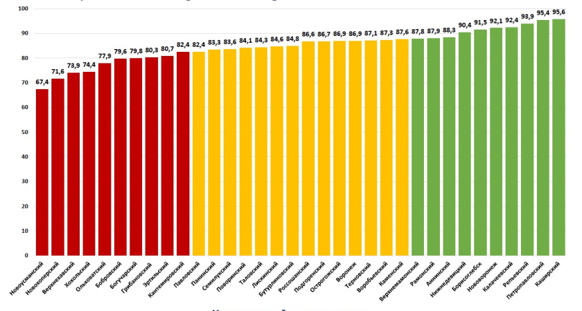 Добросовестность воронежцев просто зашкаливает