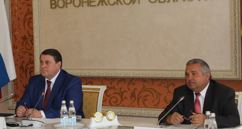 ЦИК выразил недоверие главе воронежского облизбиркома