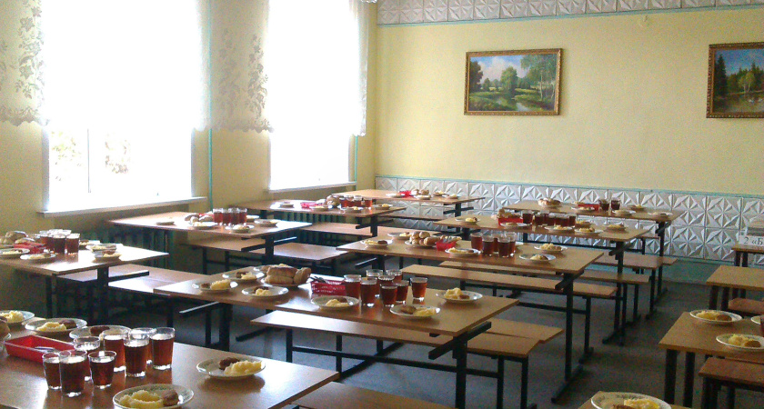 В Воронежские школы зашли аудиторы