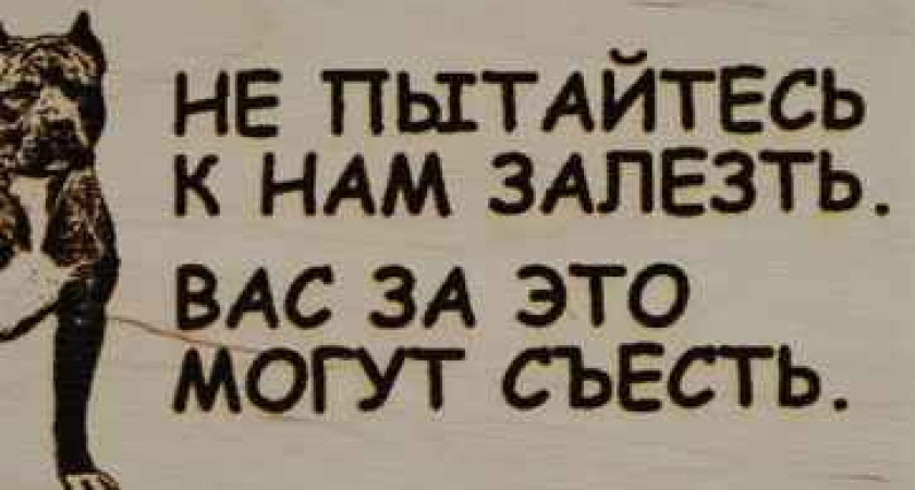 Воронежская облдума примет закон о «злых собаках»