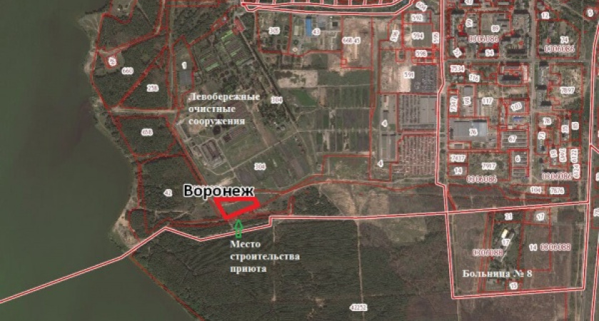 Воронежцы готовы загубить идею создания приюта для собак 