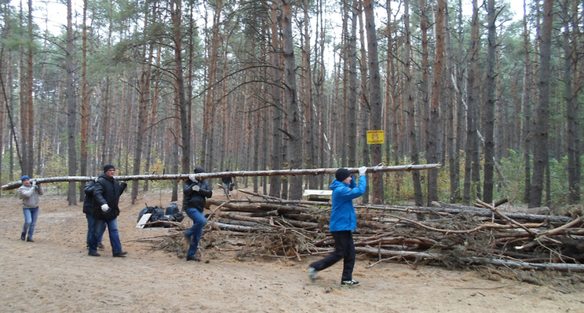 Воронежцы убрали город для снега