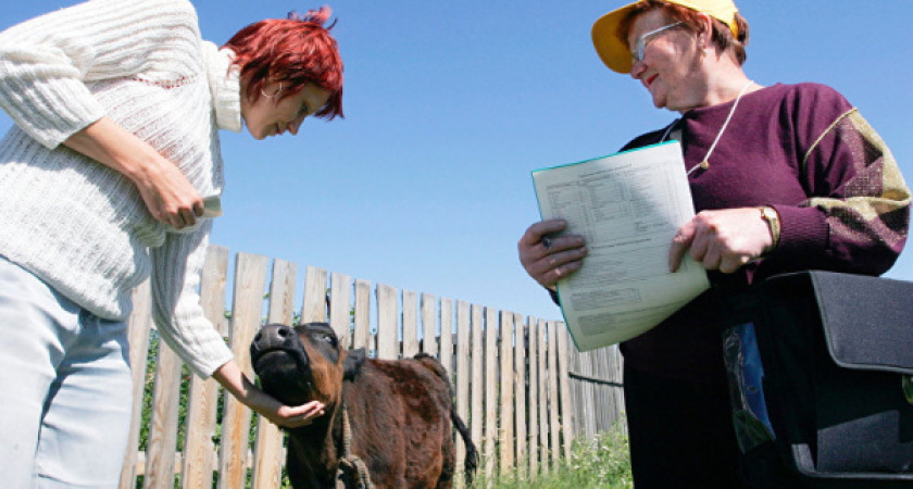 В Воронежской области крупные агрохолдинги вытесняют фермеров