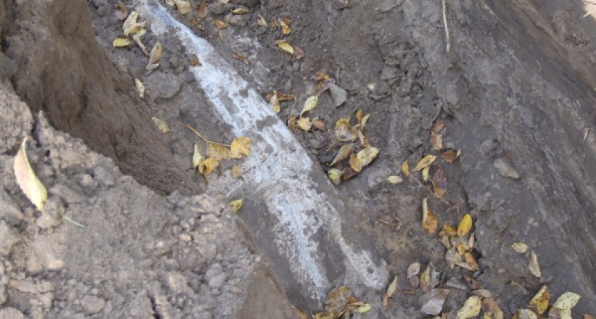 Воронежская прокуратура заинтересовалась «ЭкоЛайнером» 