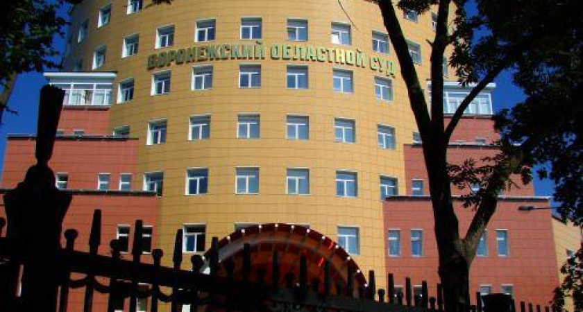Воронежскому облсуду подобрали одного из руководителей