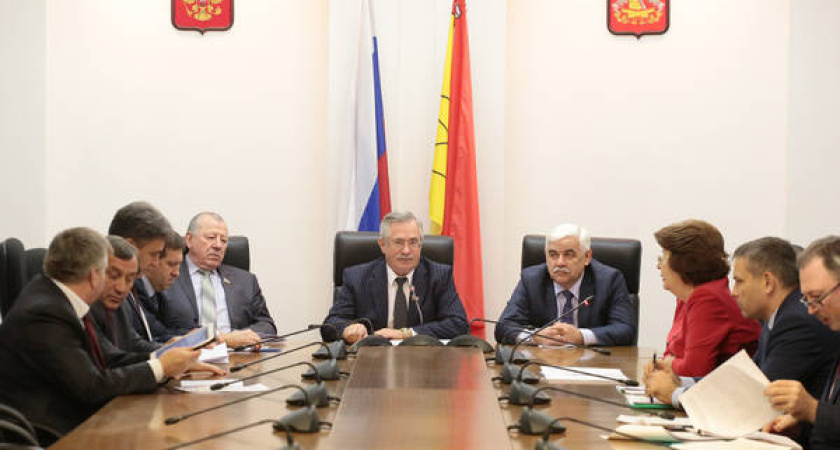 В воронежскую программу развития включили пять новых инвестпроектов