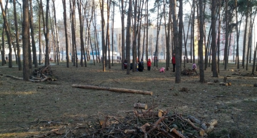 Город Воронеж стал больше на один земельный участок