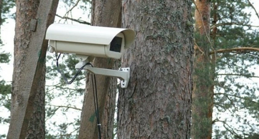 В Воронежских парках появится видеонаблюдение 