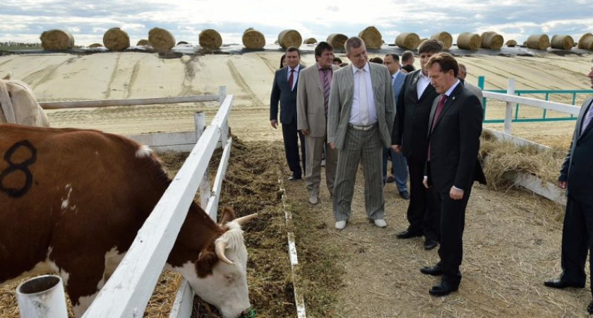 Воронежскую статотчетность выручила  неформальная экономика 