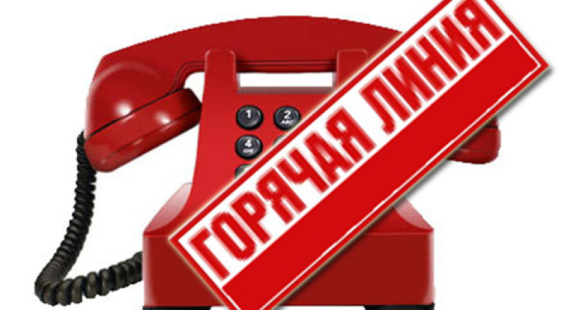 Воронежская кадастровая палата запускает «горячую линию» 
