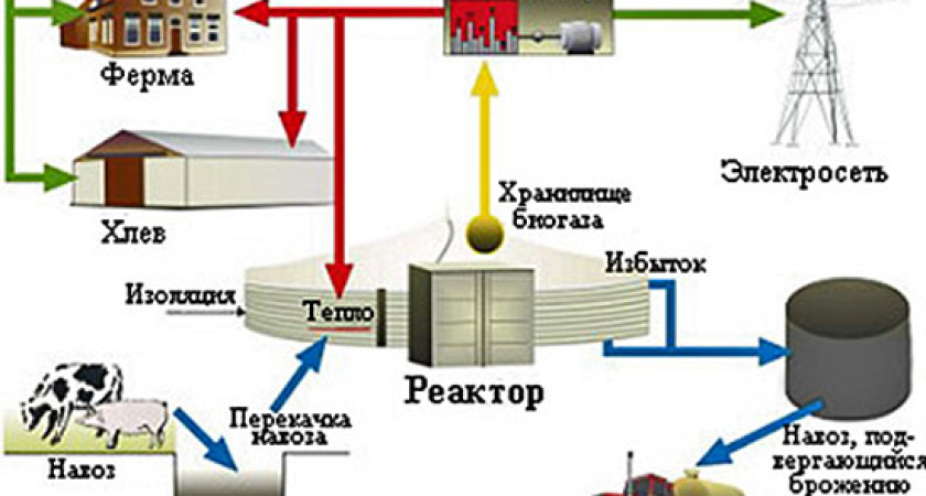 Воронежским фермерам разрешат вырабатывать электричество из навоза