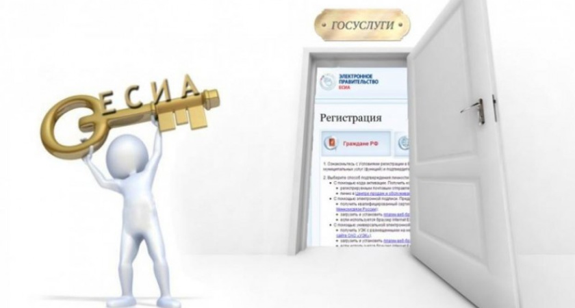 Половина жителей Тамбовской области получают госуслуги в интернете 