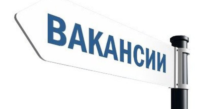 Эксперты назвали самые дорогие вакансии в Воронеже 