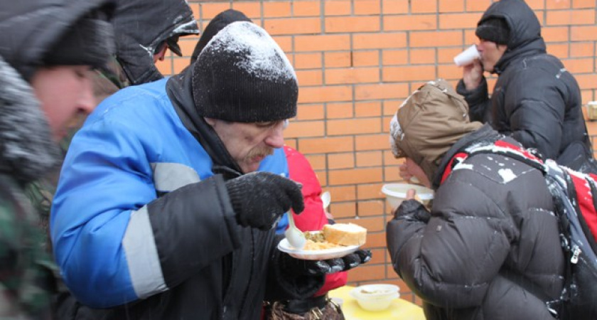 Волонтеры призывают воронежцев покормить под Новый год бездомных 