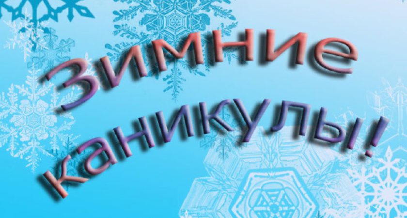 Воронежцам нужны каникулы длиной в год 