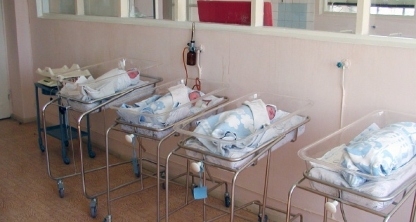 Воронежские власти действуют вопреки желаниям Дмитрия Медведева 