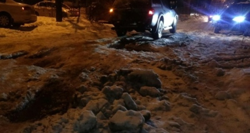 Воронежскую мэрию обвинили в плохой уборке снега