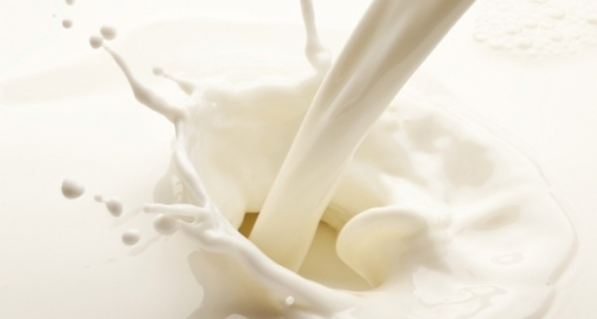 Воронежский Роспотребназдор добился ликвидации поставщика молока