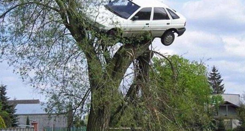 Воронежцев будут наказывать за опасное вождение 