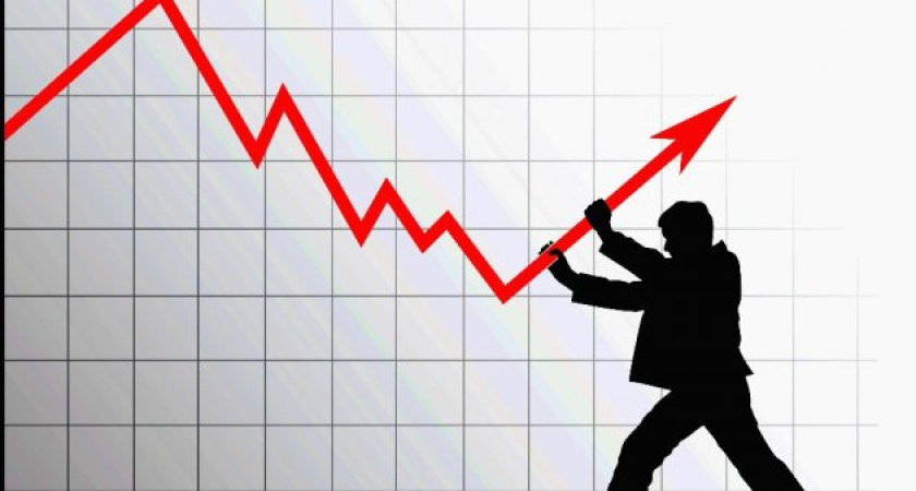 Как финансовый кризис отразился на воронежских компаниях 