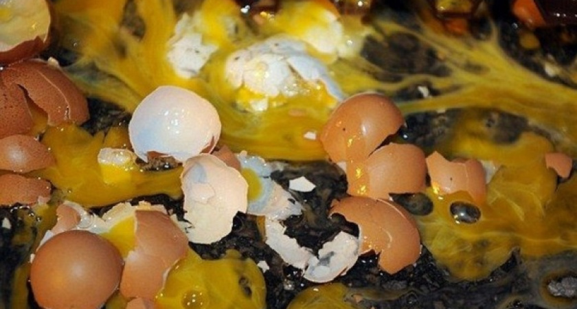 Воронежские власти не взяли на себя ответственность в деле о птичьем гриппе