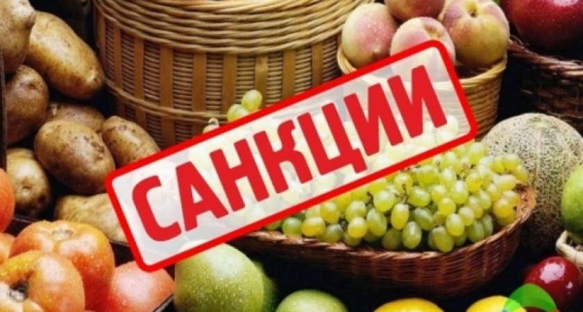 Через воронежскую таможню не прошли девять тысяч тонн «санкционки» 