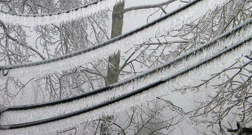 Администрация Воронежа отменила конкурс по продаже имущества «Горэлектросети»