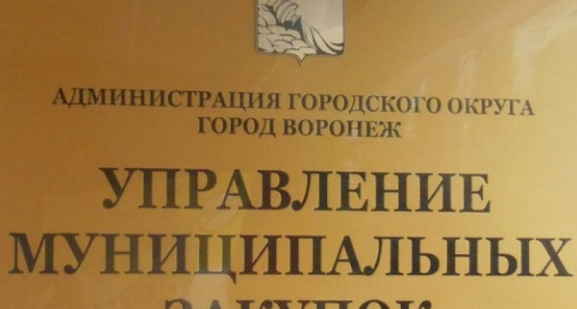 Воронежский мэр допустил закупки у единственного продавца из-за «острой необходимости»