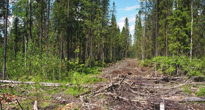 Воронежского губернатора поразила бесхозяйственность в собственной области