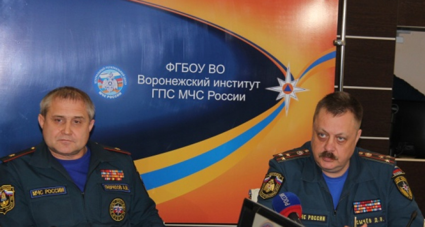 Президент уволил главу воронежского института МЧС 